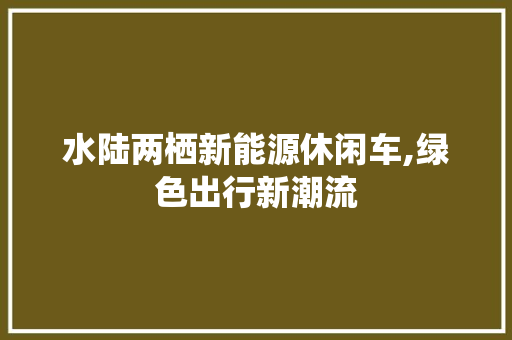 水陆两栖新能源休闲车,绿色出行新潮流