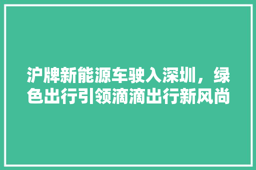 沪牌新能源车驶入深圳，绿色出行引领滴滴出行新风尚