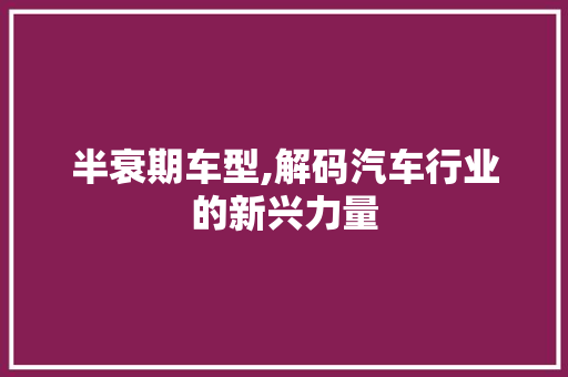 半衰期车型,解码汽车行业的新兴力量