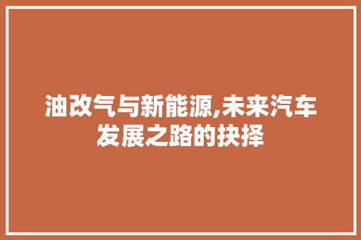 油改气与新能源,未来汽车发展之路的抉择