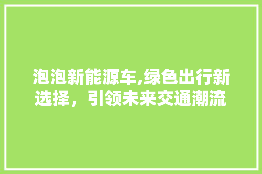 泡泡新能源车,绿色出行新选择，引领未来交通潮流