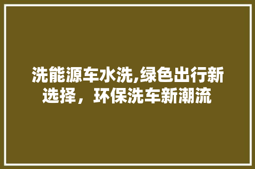 洗能源车水洗,绿色出行新选择，环保洗车新潮流
