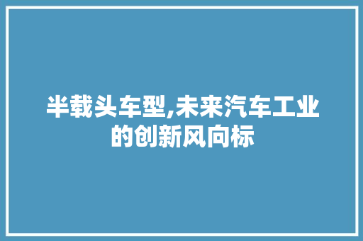 半载头车型,未来汽车工业的创新风向标