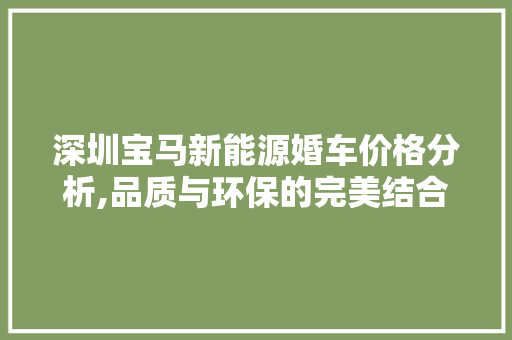 深圳宝马新能源婚车价格分析,品质与环保的完美结合
