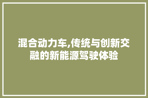 混合动力车,传统与创新交融的新能源驾驶体验