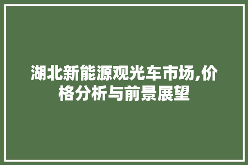 湖北新能源观光车市场,价格分析与前景展望