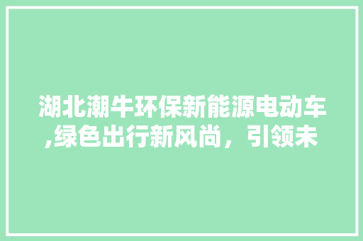 湖北潮牛环保新能源电动车,绿色出行新风尚，引领未来出行潮流
