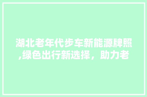 湖北老年代步车新能源牌照,绿色出行新选择，助力老年生活品质提升