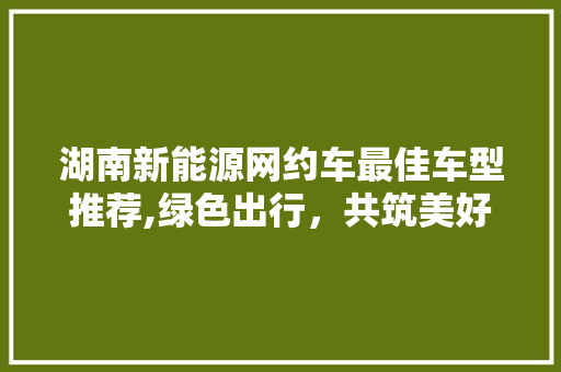 湖南新能源网约车最佳车型推荐,绿色出行，共筑美好未来