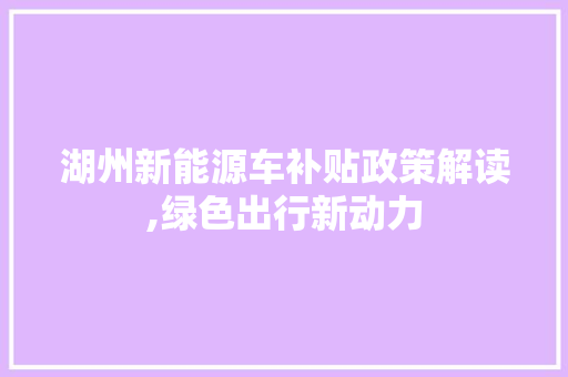 湖州新能源车补贴政策解读,绿色出行新动力