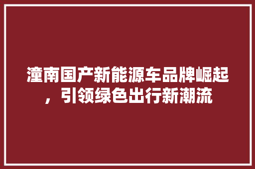 潼南国产新能源车品牌崛起，引领绿色出行新潮流
