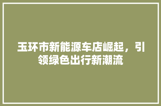 玉环市新能源车店崛起，引领绿色出行新潮流