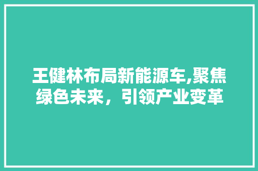王健林布局新能源车,聚焦绿色未来，引领产业变革
