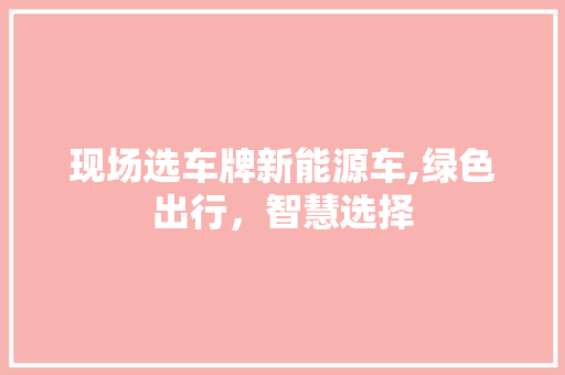 现场选车牌新能源车,绿色出行，智慧选择
