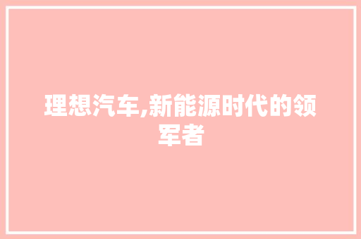 理想汽车,新能源时代的领军者