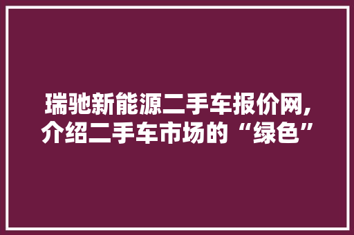 瑞驰新能源二手车报价网,介绍二手车市场的“绿色”选择
