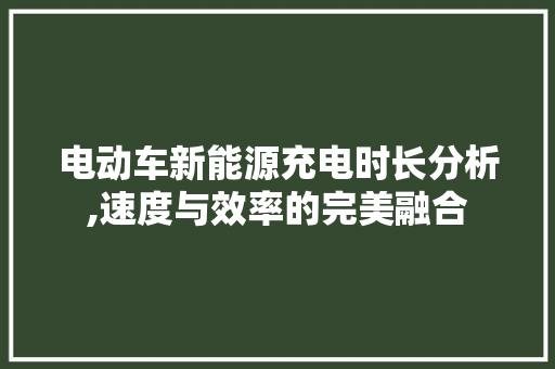 电动车新能源充电时长分析,速度与效率的完美融合