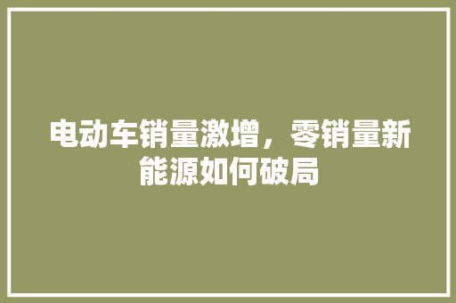 电动车销量激增，零销量新能源如何破局
