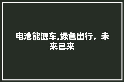电池能源车,绿色出行，未来已来