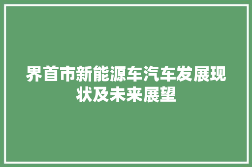 界首市新能源车汽车发展现状及未来展望 汽车配件