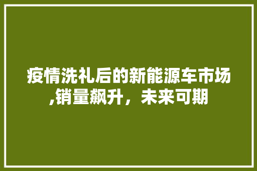 疫情洗礼后的新能源车市场,销量飙升，未来可期