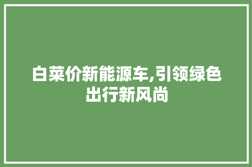 白菜价新能源车,引领绿色出行新风尚
