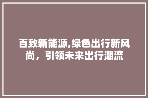 百致新能源,绿色出行新风尚，引领未来出行潮流