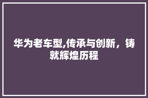 华为老车型,传承与创新，铸就辉煌历程