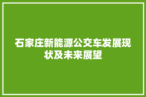 石家庄新能源公交车发展现状及未来展望