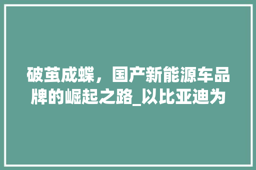 破茧成蝶，国产新能源车品牌的崛起之路_以比亚迪为例