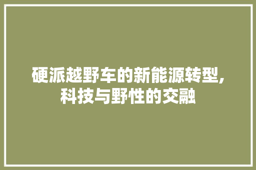 硬派越野车的新能源转型,科技与野性的交融