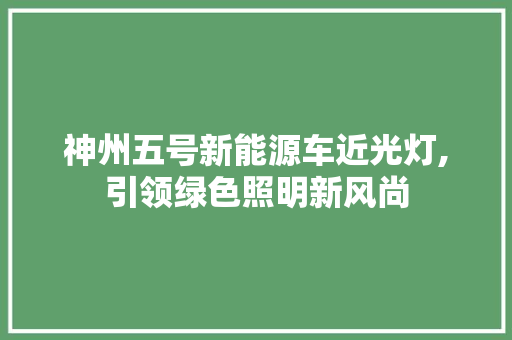 神州五号新能源车近光灯,引领绿色照明新风尚