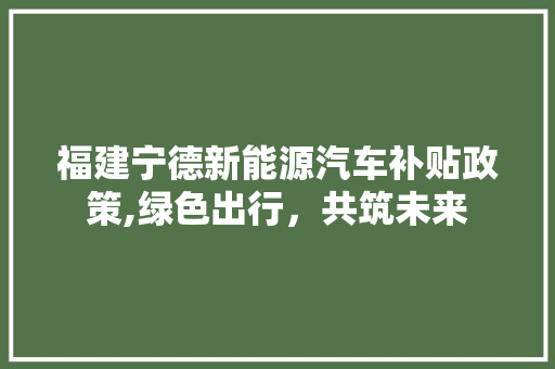 福建宁德新能源汽车补贴政策,绿色出行，共筑未来