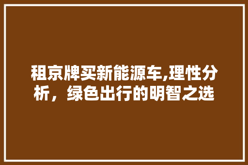 租京牌买新能源车,理性分析，绿色出行的明智之选