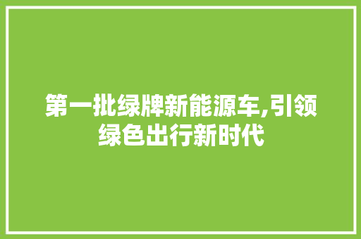 第一批绿牌新能源车,引领绿色出行新时代