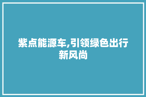 紫点能源车,引领绿色出行新风尚