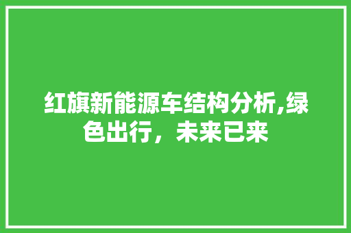 红旗新能源车结构分析,绿色出行，未来已来