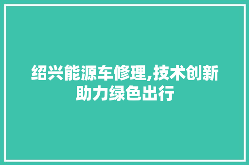 绍兴能源车修理,技术创新助力绿色出行