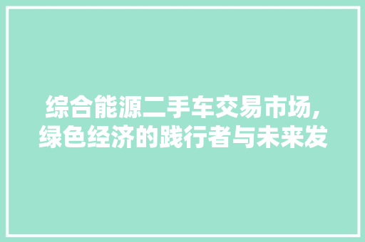 综合能源二手车交易市场,绿色经济的践行者与未来发展趋势