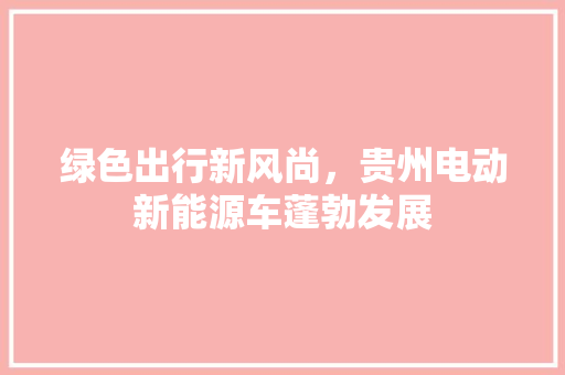 绿色出行新风尚，贵州电动新能源车蓬勃发展