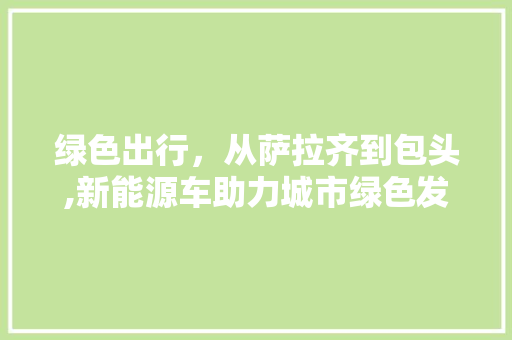 绿色出行，从萨拉齐到包头,新能源车助力城市绿色发展