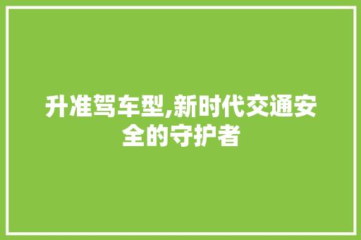 升准驾车型,新时代交通安全的守护者