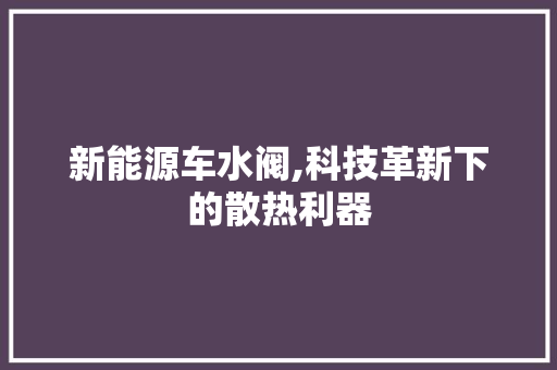 新能源车水阀,科技革新下的散热利器
