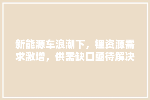 新能源车浪潮下，锂资源需求激增，供需缺口亟待解决