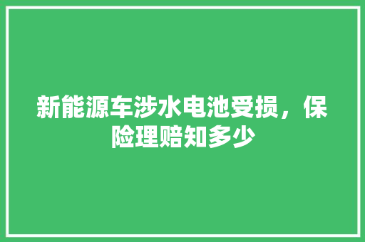 新能源车涉水电池受损，保险理赔知多少