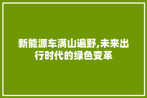 新能源车满山遍野,未来出行时代的绿色变革