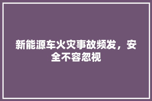 新能源车火灾事故频发，安全不容忽视
