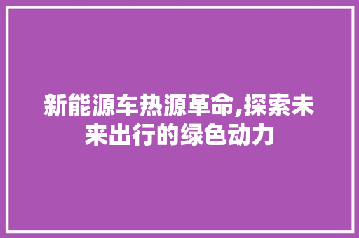 新能源车热源革命,探索未来出行的绿色动力