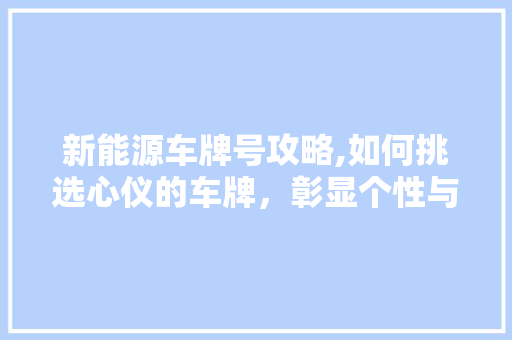 新能源车牌号攻略,如何挑选心仪的车牌，彰显个性与品味