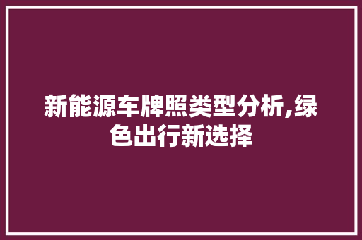 新能源车牌照类型分析,绿色出行新选择